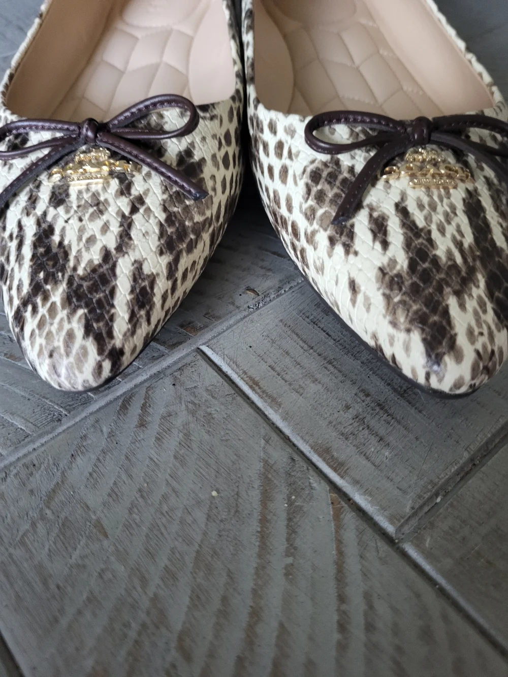 Coach Snake-Print Pointed Ballet Flats in Cream and Black - Picture 3 of 7